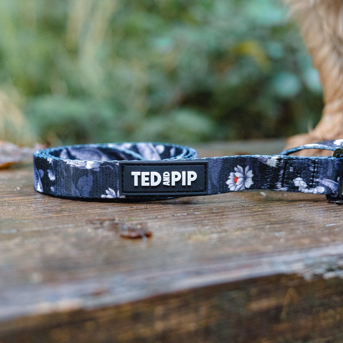 Koi Serenity - Stylish Lead & Collar Set - Ted & Pip - Stylish Premium Dogwear