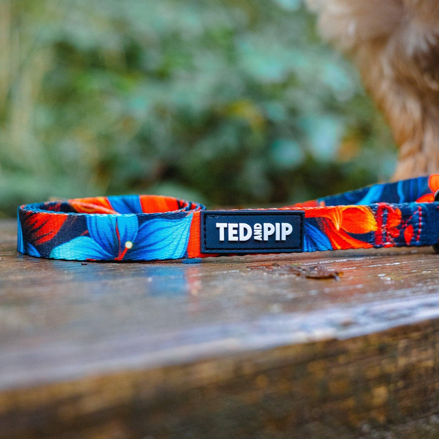 Scarlet Lily - Stylish Lead & Collar Set - Ted & Pip - Stylish Premium Dogwear