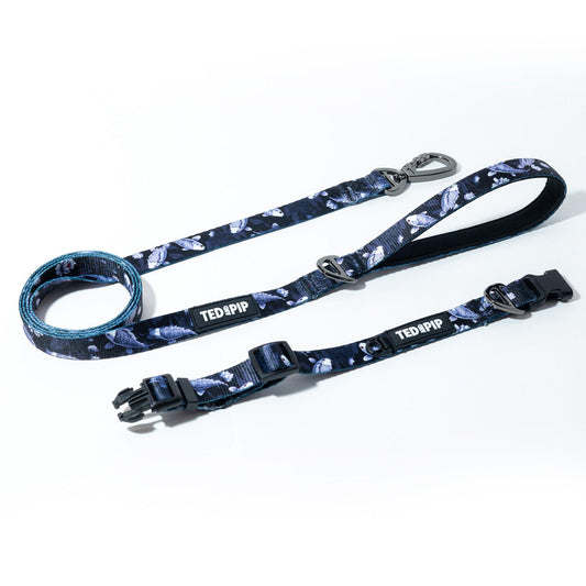 Koi Serenity - Stylish Lead & Collar Set - Ted & Pip - Stylish Premium Dogwear