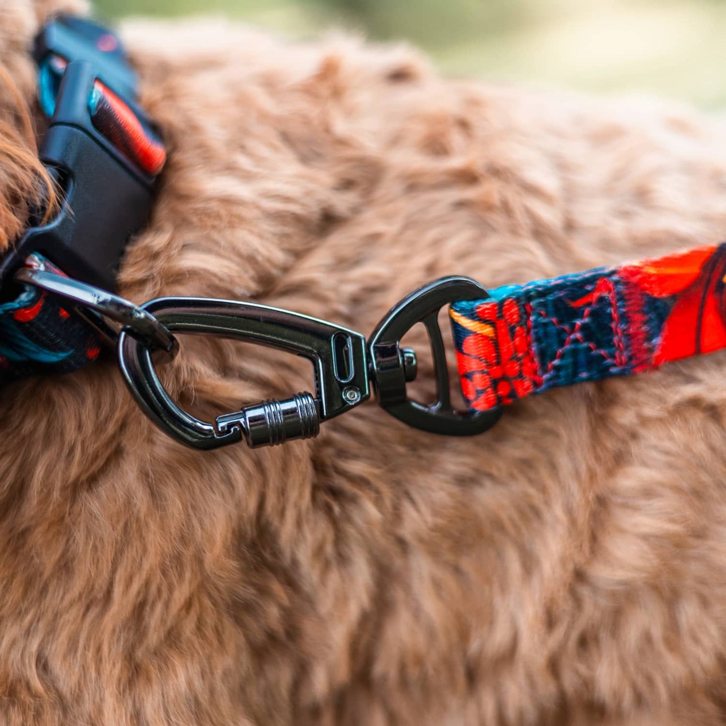 Scarlet Lily - Stylish Lead & Collar Set