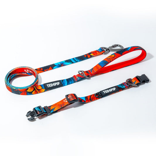 Scarlet Lily - Stylish Lead & Collar Set - Ted & Pip - Stylish Premium Dogwear