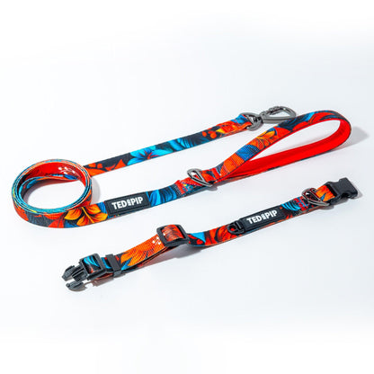 Scarlet Lily - Stylish Lead & Collar Set - Ted & Pip - Stylish Premium Dogwear