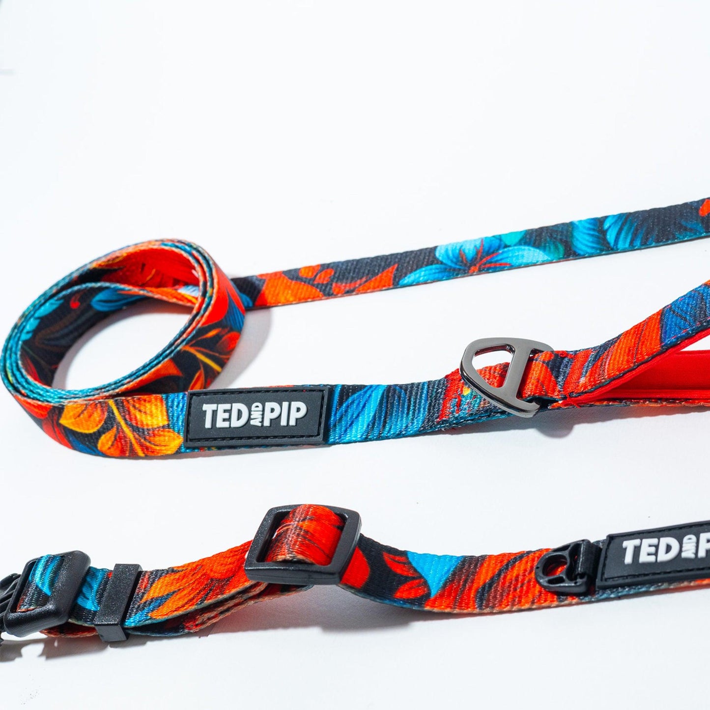 Scarlet Lily - Stylish Lead & Collar Set - Ted & Pip - Stylish Premium Dogwear