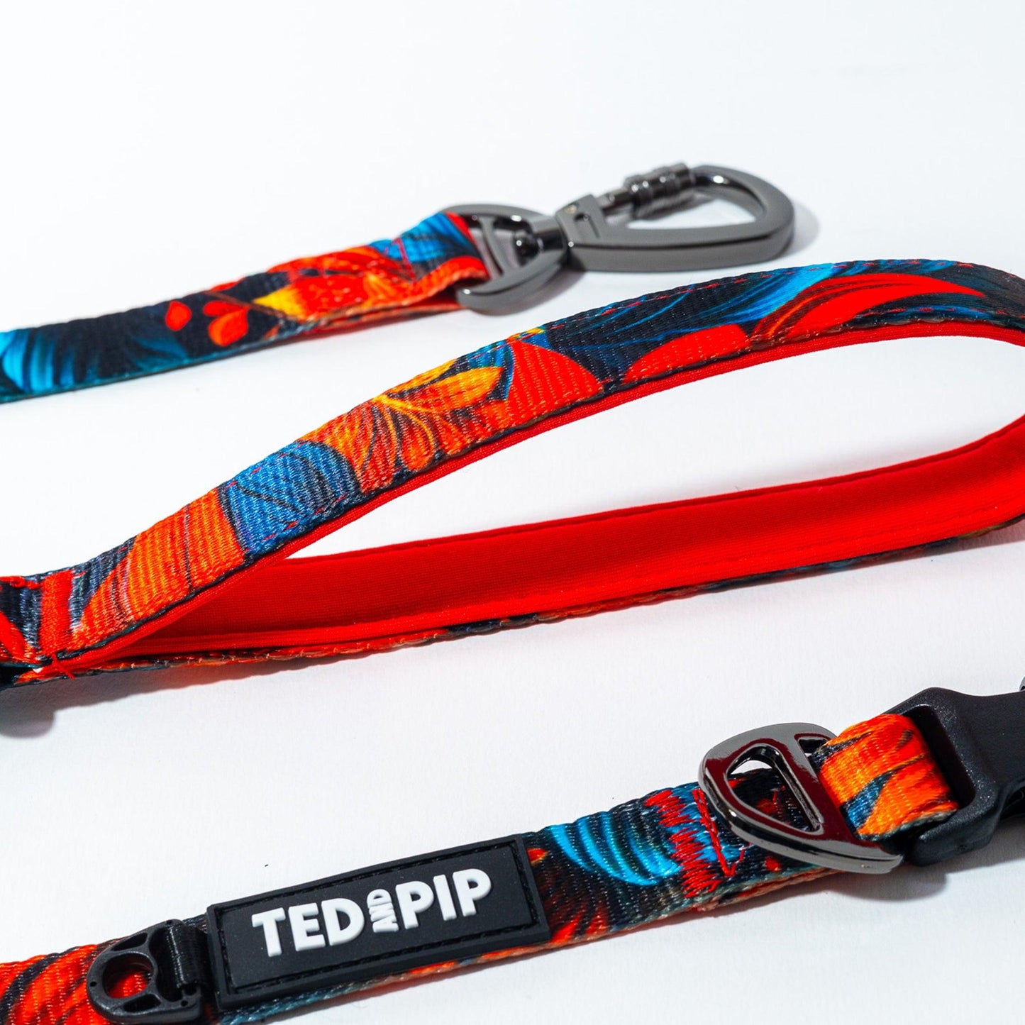 Scarlet Lily - Stylish Lead & Collar Set - Ted & Pip - Stylish Premium Dogwear