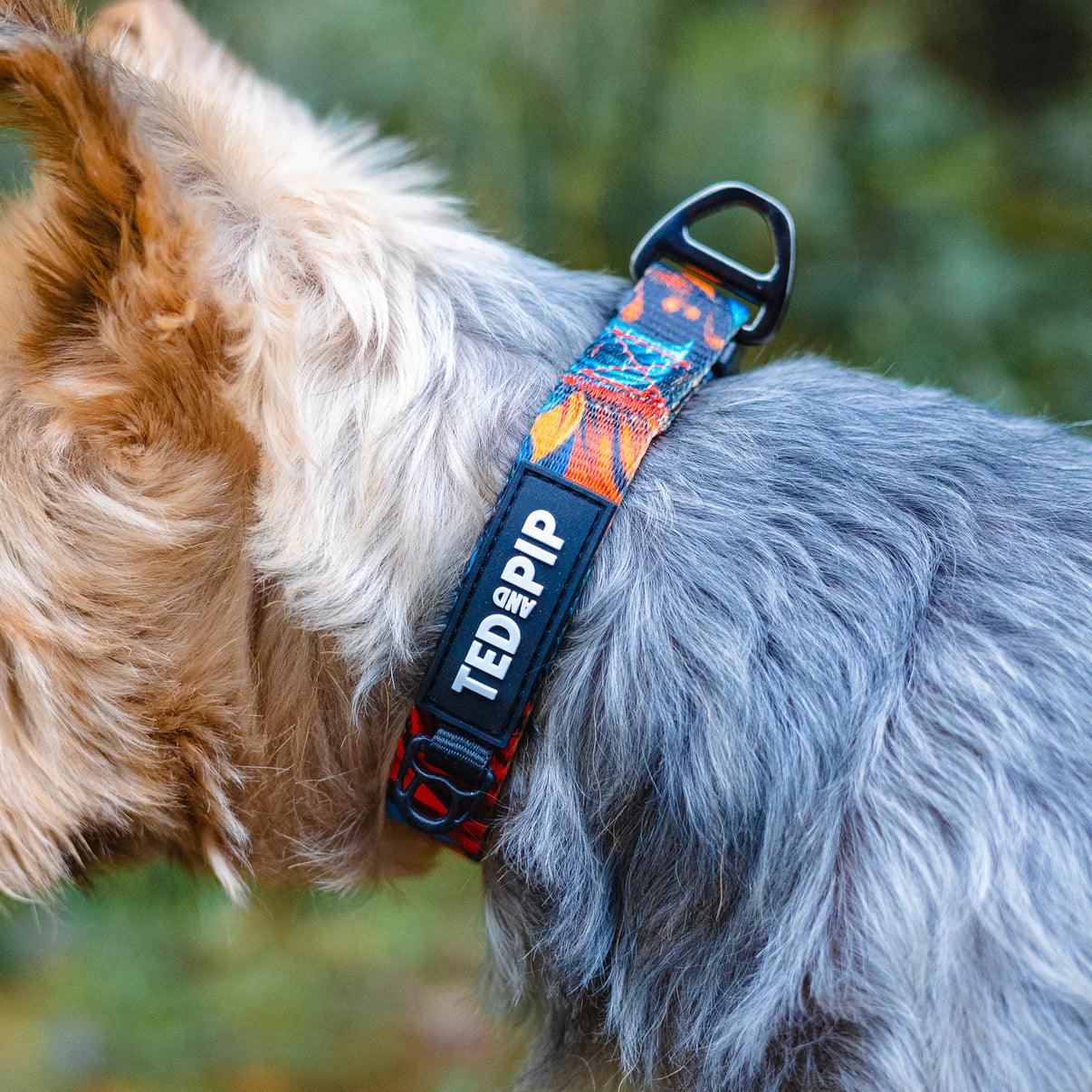 Scarlet Lily - Stylish Dog Collar - Ted & Pip - Stylish Premium Dogwear